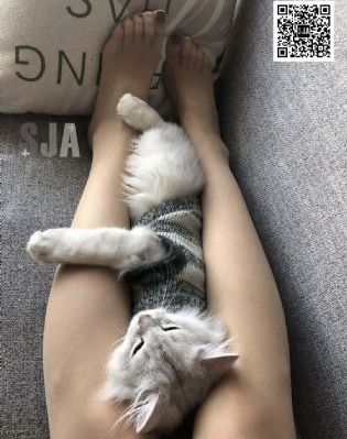 国产女人叫床高潮大片免费_字幕高清版在线观看