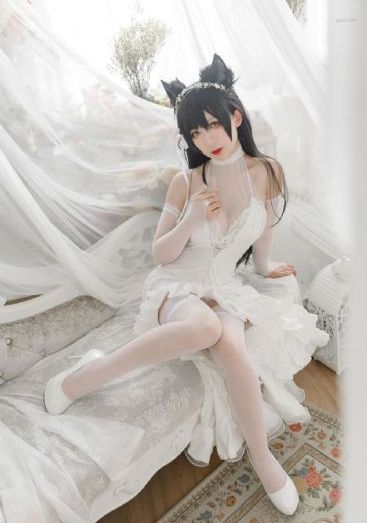 今天高清视频高清播放_视频大全成人直接看